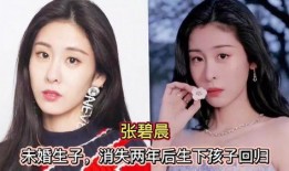 女明星未婚先孕爆料视频,女明星爆料视频引发热议